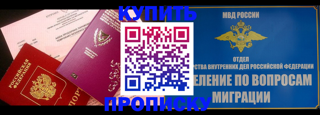 где прописаться в Дмитрове